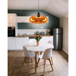 Hanging Ceiling Light Pendant Light Modern Decorative Honey 1-bulb - Letsgosale.com