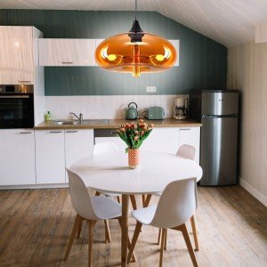 Hanging Ceiling Light Pendant Light Modern Decorative Honey 1-bulb - Letsgosale.com