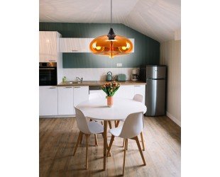 Hanging Ceiling Light Pendant Light Modern Decorative Honey 1-bulb - Letsgosale.com