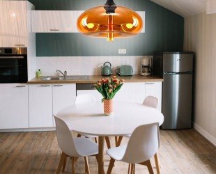 Hanging Ceiling Light Pendant Light Modern Decorative Honey 1-bulb - Letsgosale.com