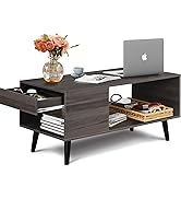 WLIVE-Lift-Top-Coffee-Table-with-Storage-for-Living-RoomSmall-Hidden-Compartment-and-Adjustable-Shel-ACJ009HX-10